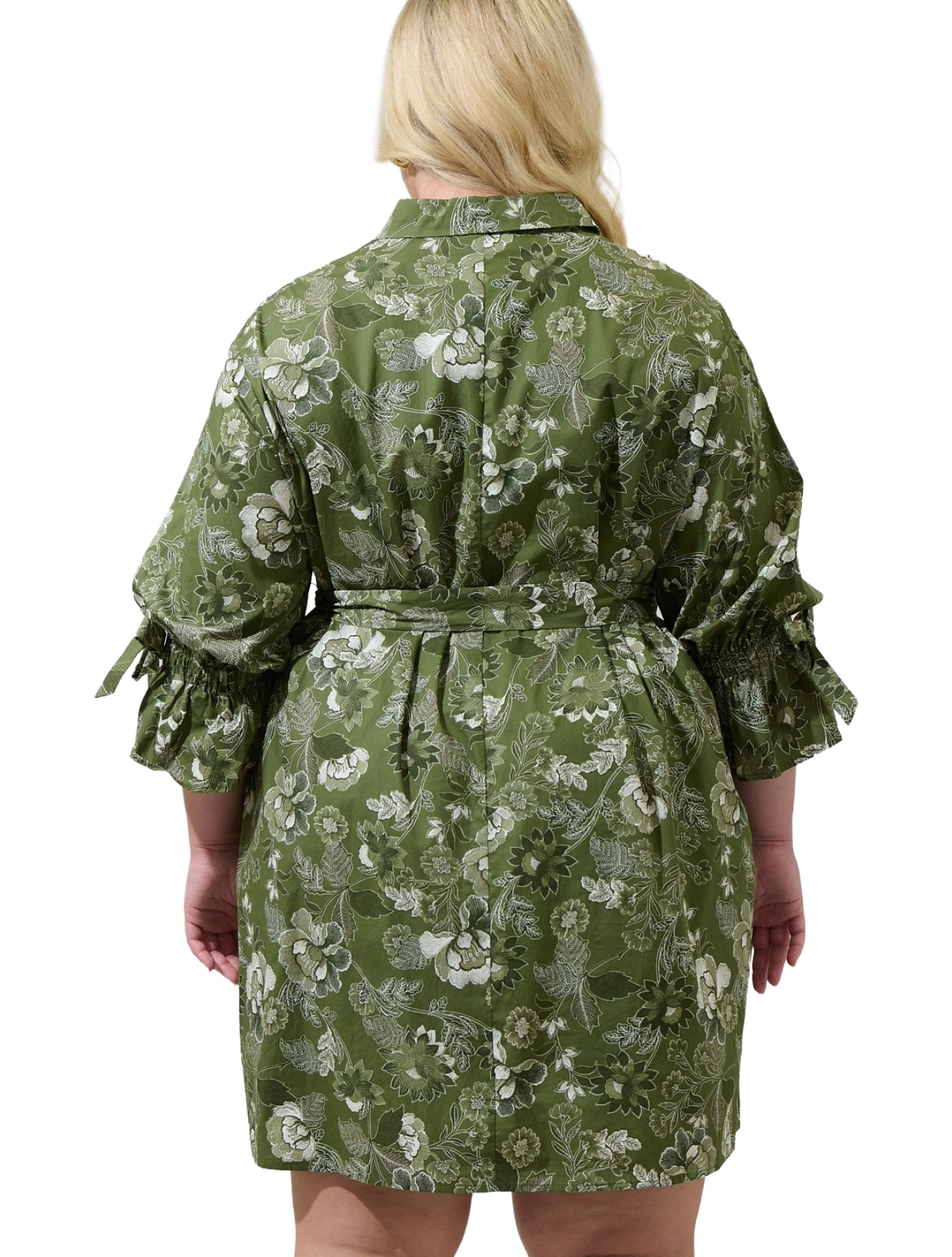 Hazleton Dress - Plus