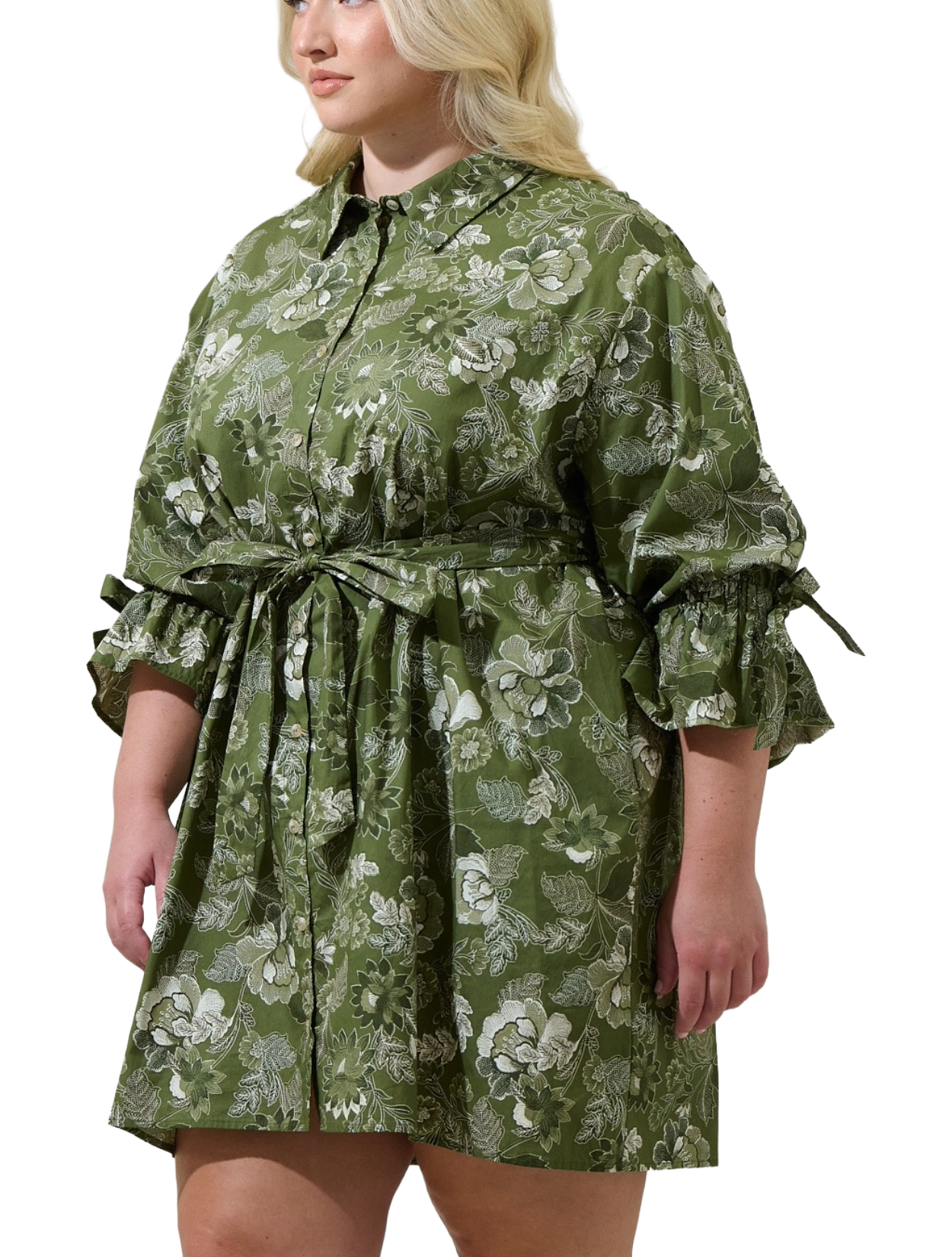 Hazleton Dress - Plus