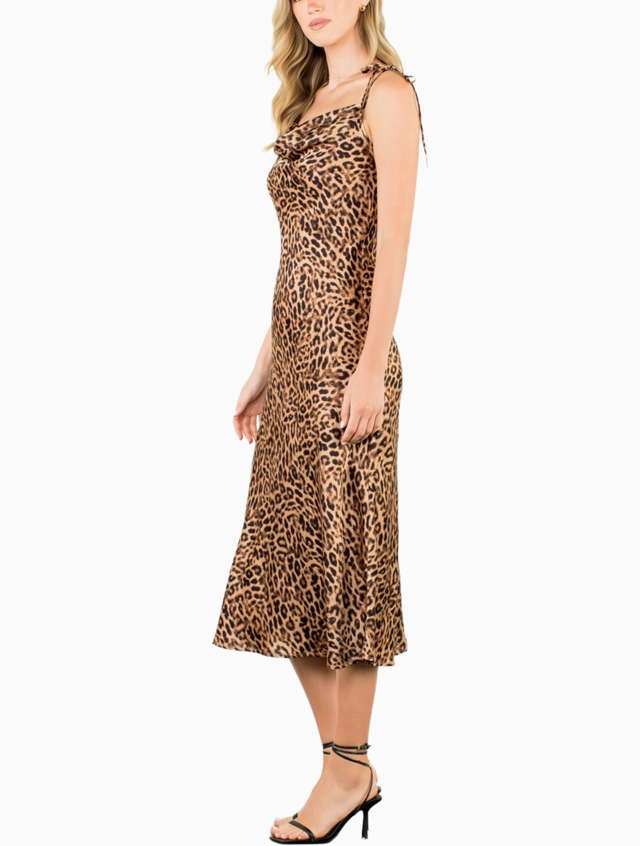 Nightcat Dress