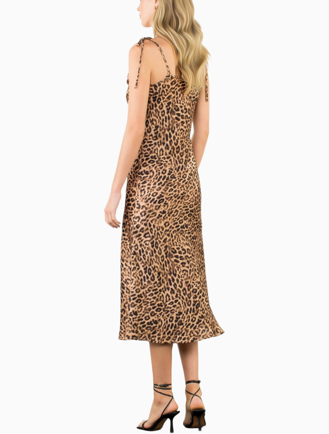 Nightcat Dress