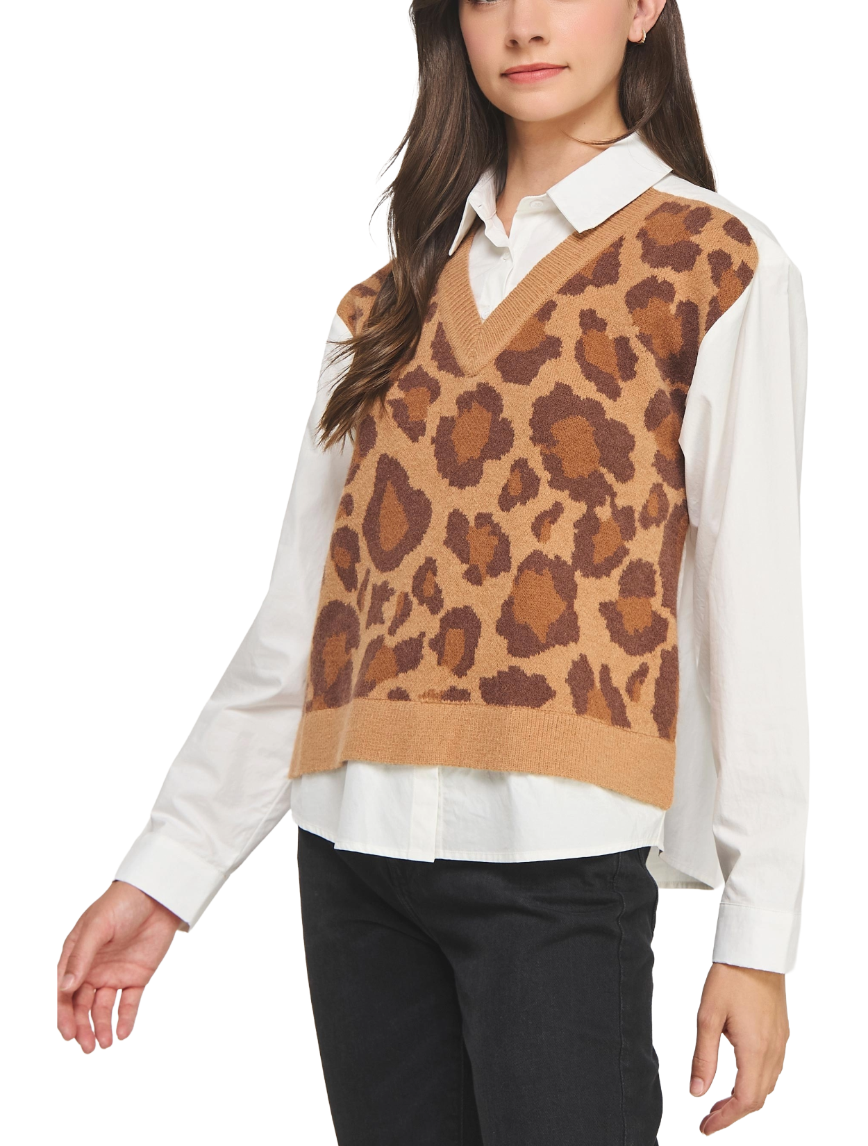 Panelling Leopard Top