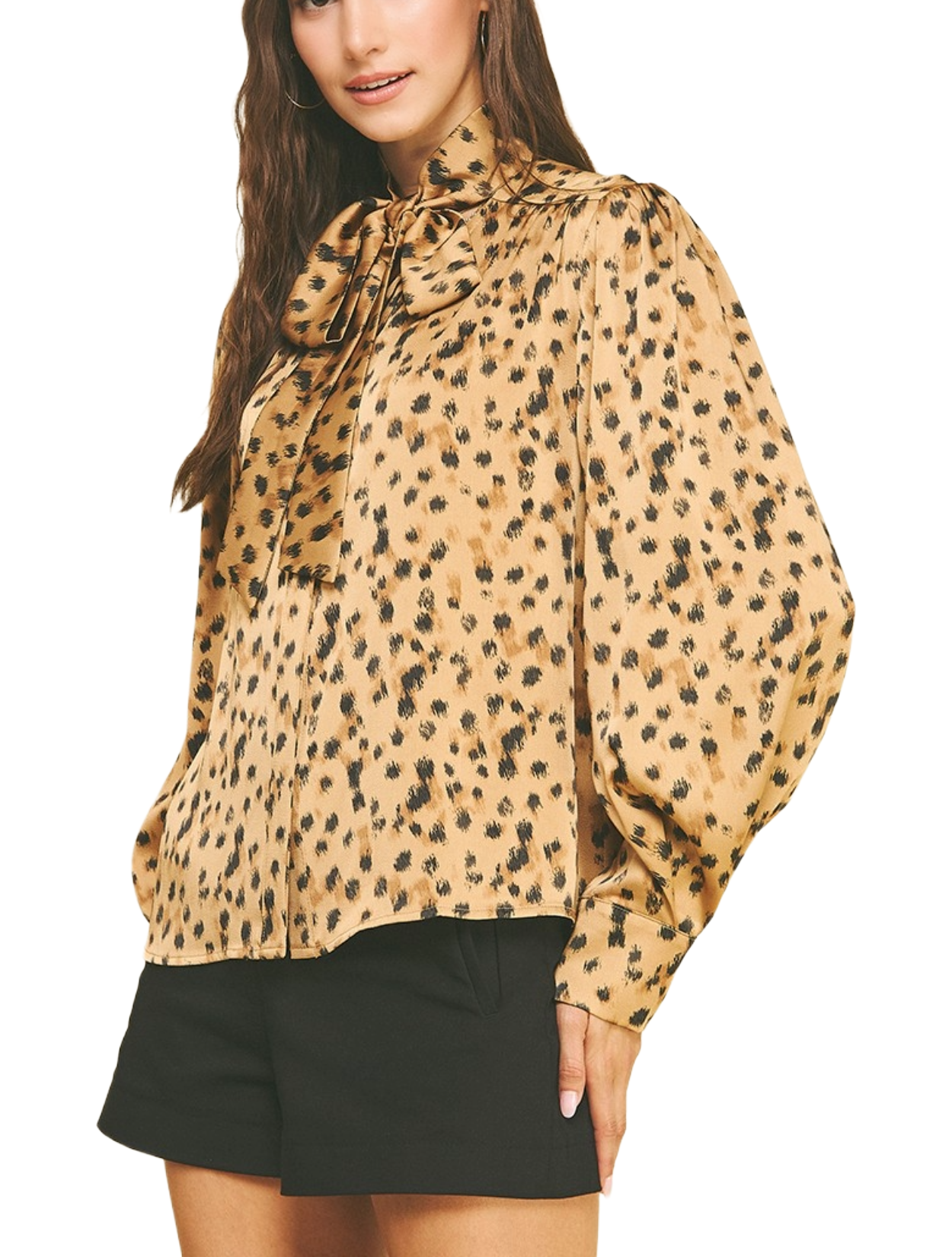 Cheetah Club Blouse