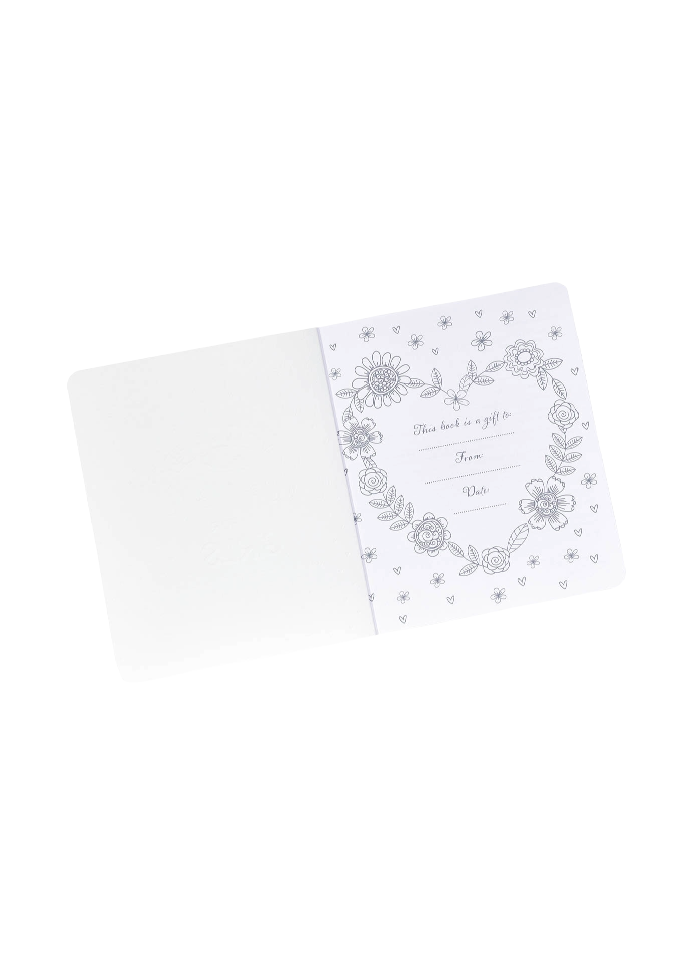 Illustrated Devotional for Girls