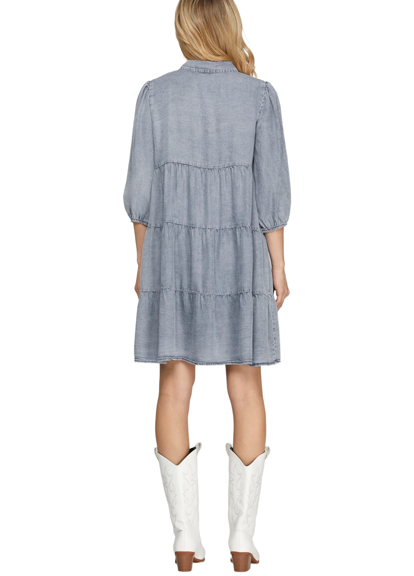 Wynona Denim Dress
