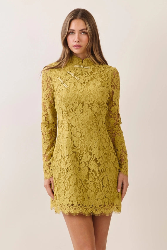 Lovely Lace Dress