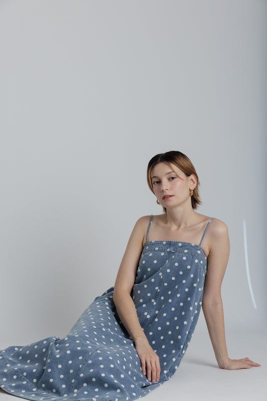 Walton Denim Dress