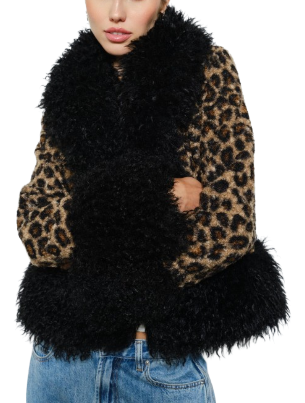 Panthera Coat