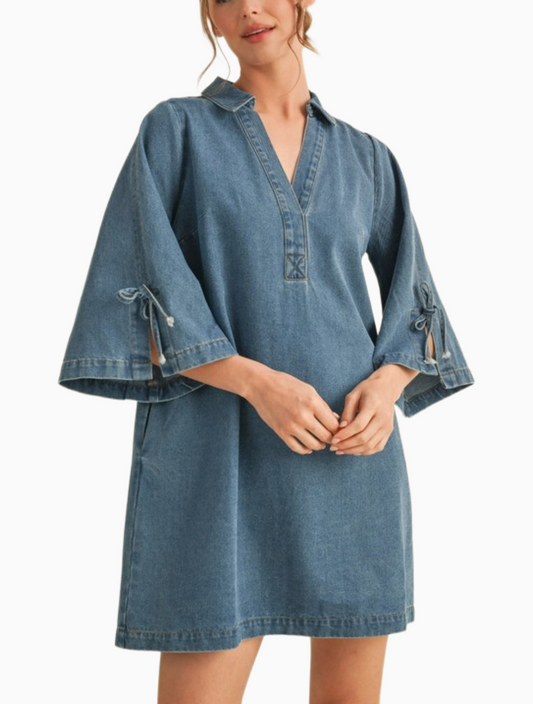 Take Flight Denim Dress
