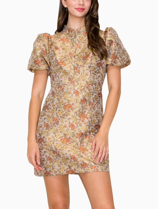 Antique Sonnet Dress