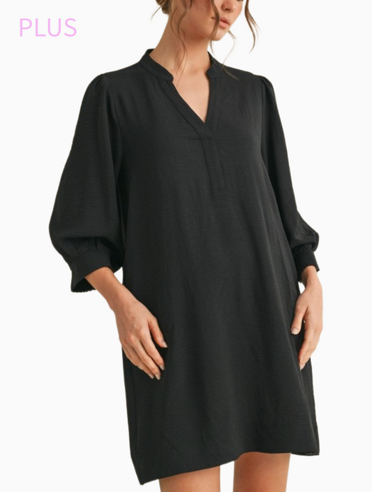 Delanie Dress - Plus
