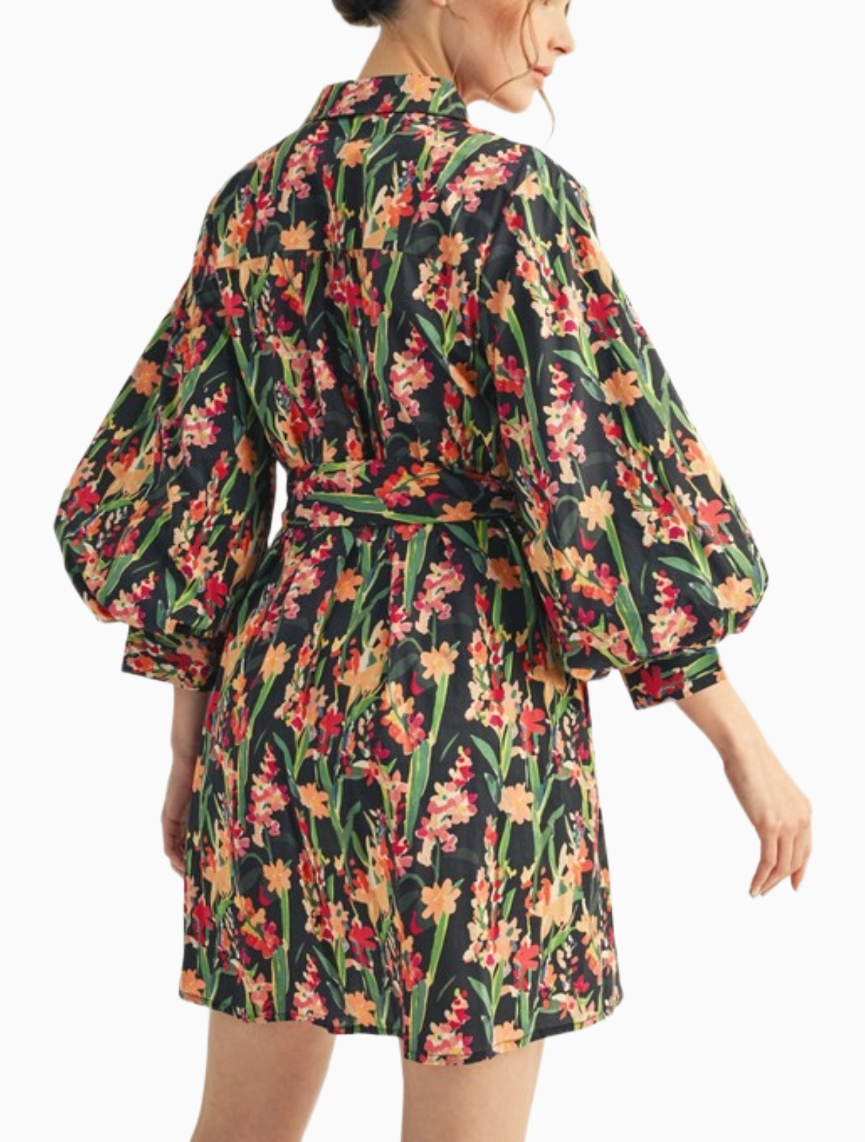 Sandro Dress