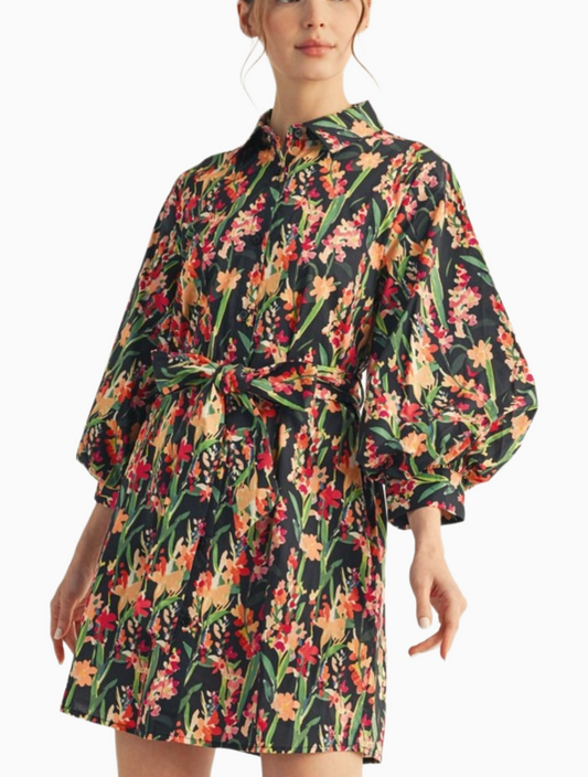 Sandro Dress