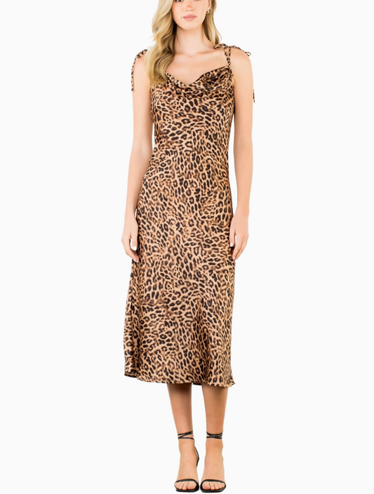Nightcat Dress