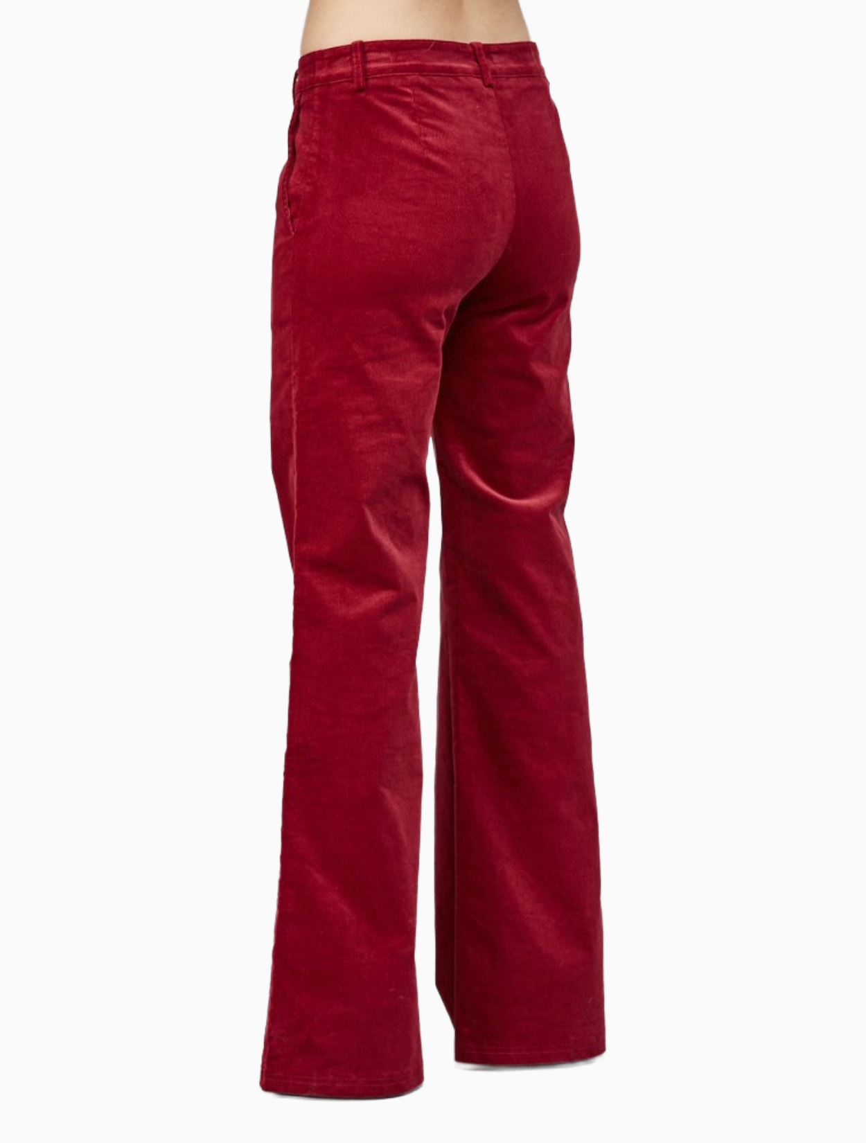 With Wine Corduroy Pant