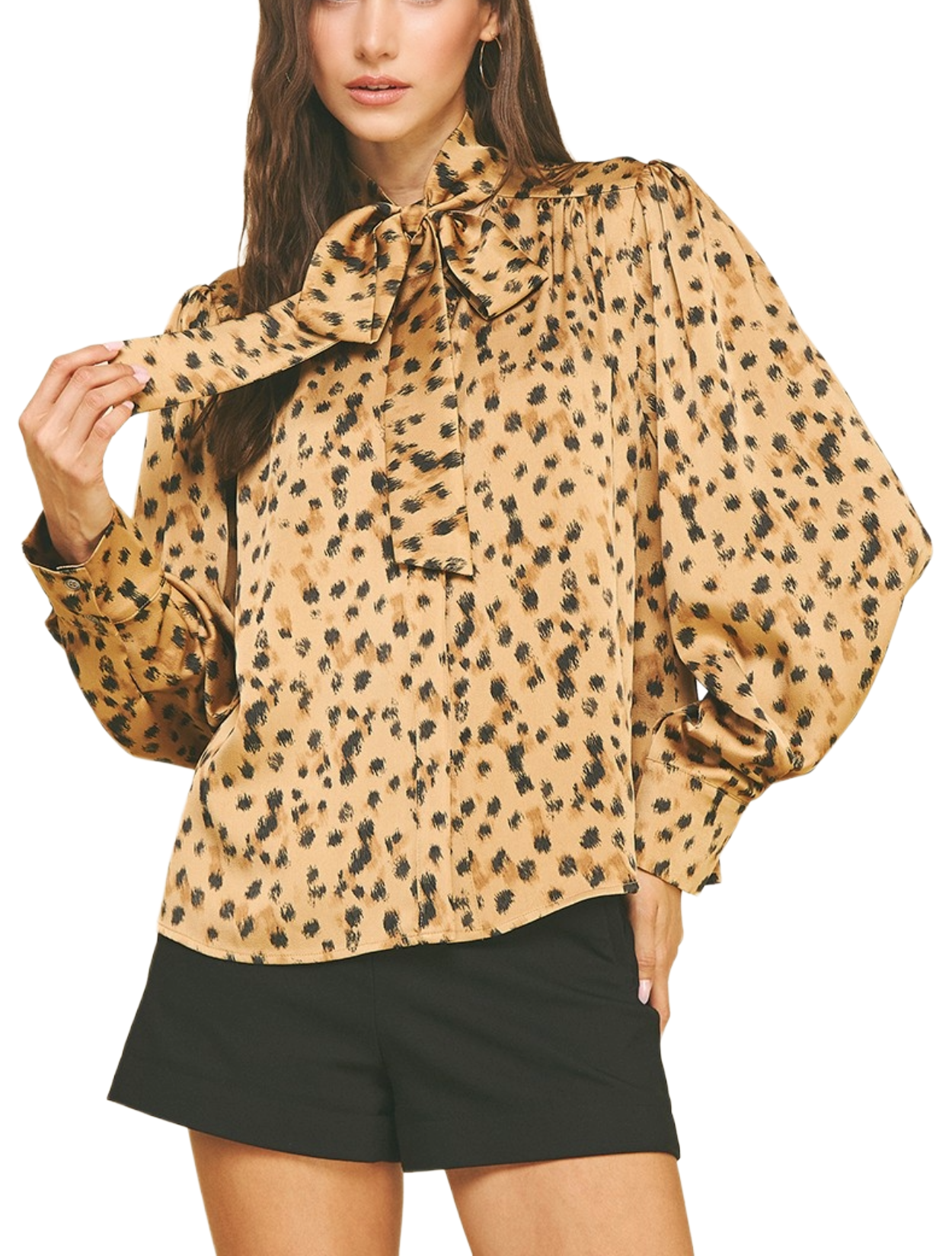 Cheetah Club Blouse