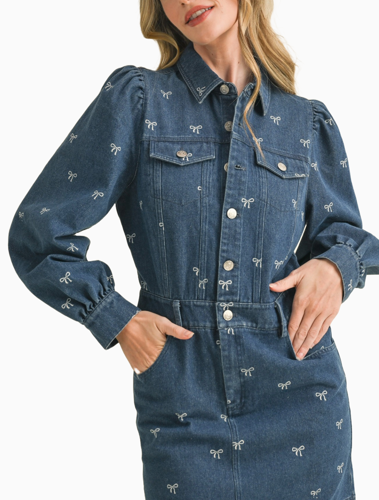 Seraphina Denim Dress