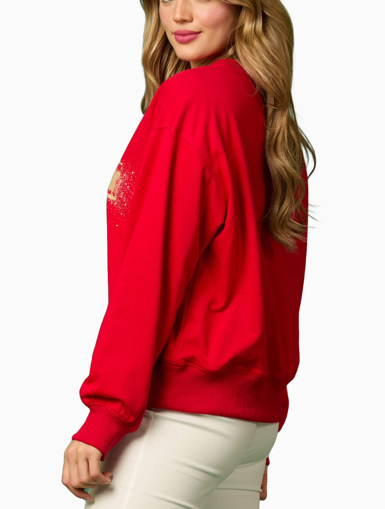 Reindeer Sledding Pullover