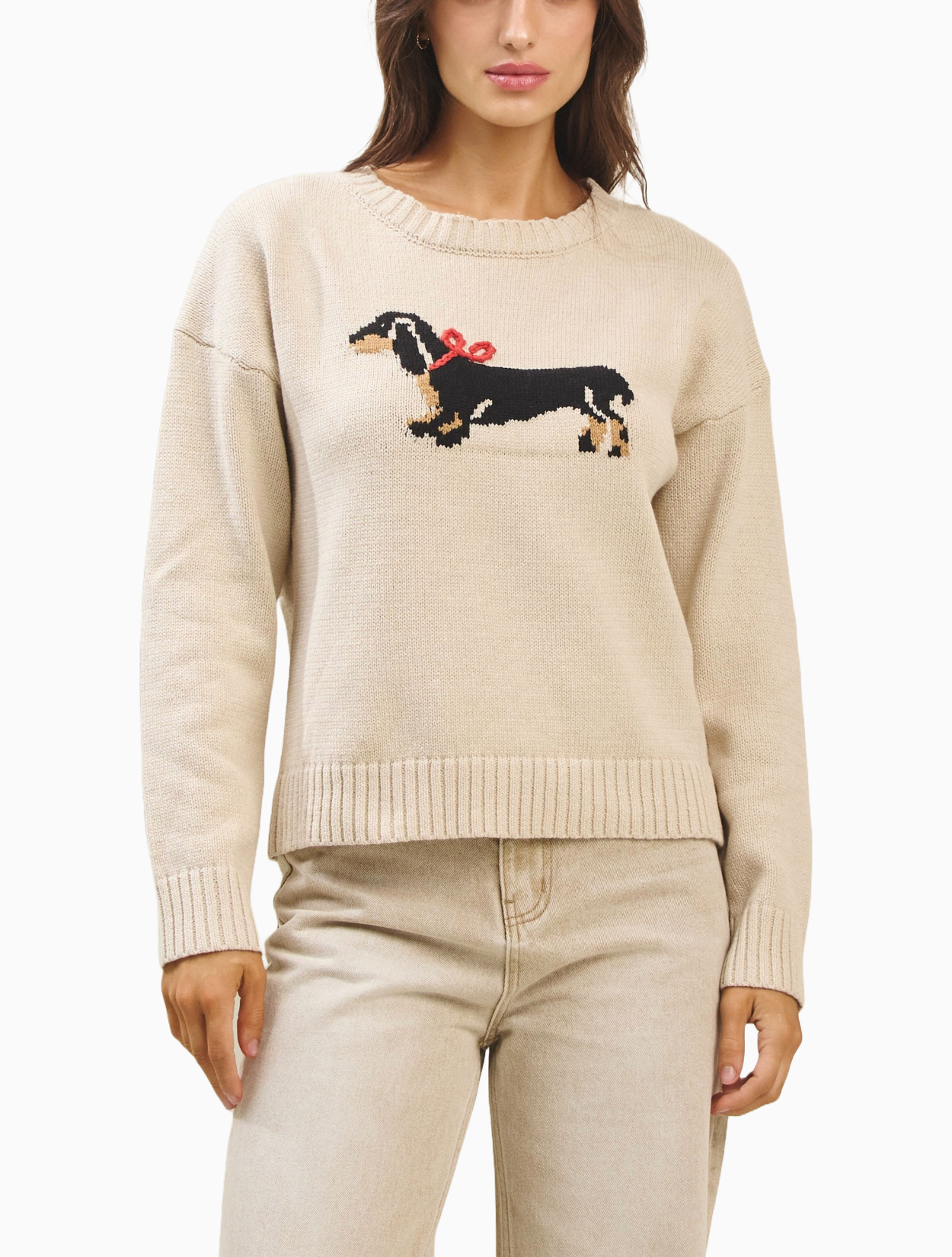 Dachshund Sweater