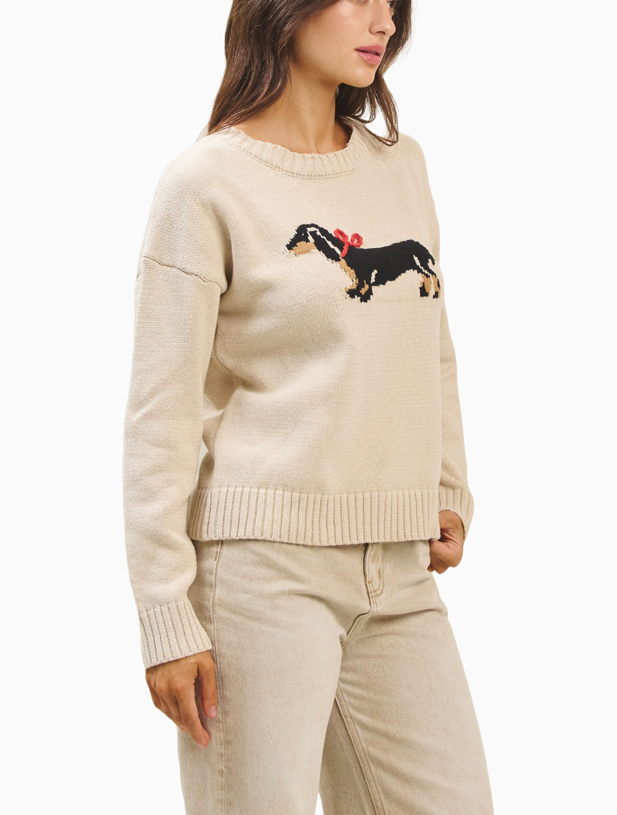 Dachshund Sweater